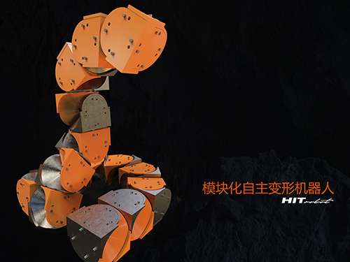 模塊化自主變形機器人-蛇形.jpg